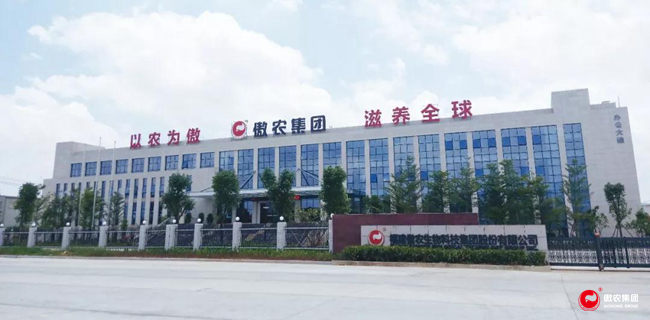 ONE游戏官网-皇马巴塞赞助商