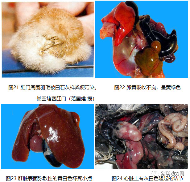 ONE游戏官网-皇马巴塞赞助商