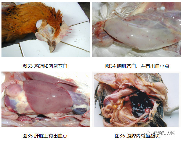 ONE游戏官网-皇马巴塞赞助商