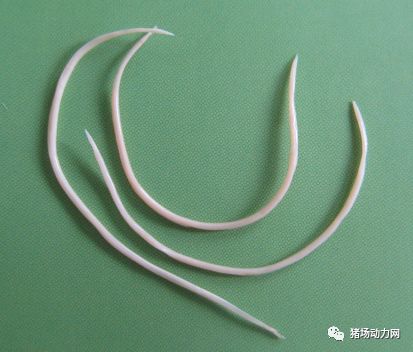 ONE游戏官网-皇马巴塞赞助商