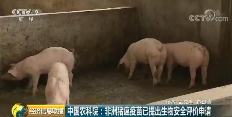ONE游戏官网-皇马巴塞赞助商