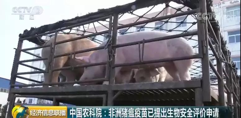 ONE游戏官网-皇马巴塞赞助商