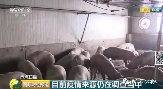 ONE游戏官网-皇马巴塞赞助商