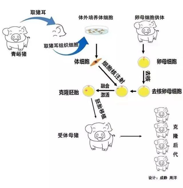 ONE游戏官网-皇马巴塞赞助商