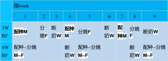 ONE游戏官网-皇马巴塞赞助商