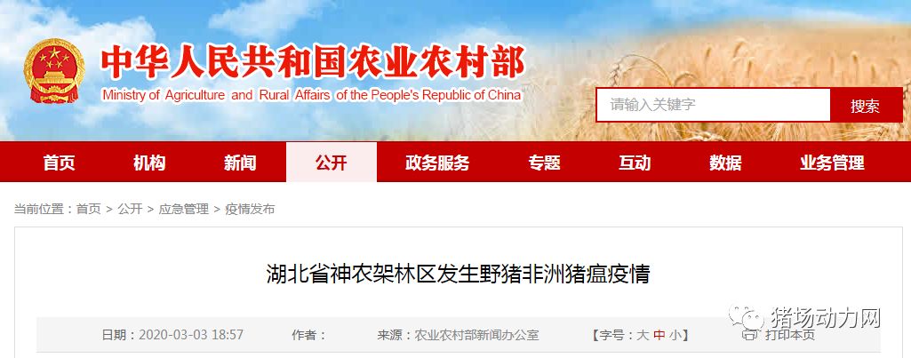 ONE游戏官网-皇马巴塞赞助商