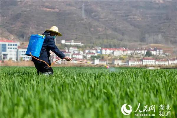 ONE游戏官网-皇马巴塞赞助商