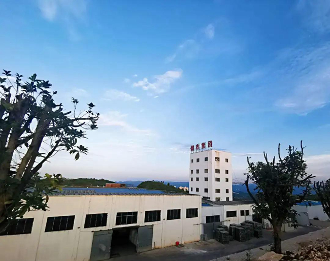 ONE游戏官网-皇马巴塞赞助商