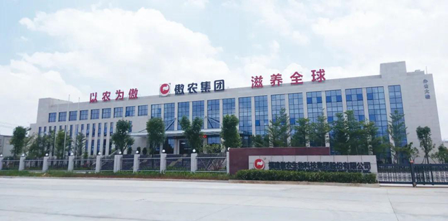 202008290852328972 ONE游戏官网-皇马巴塞赞助商