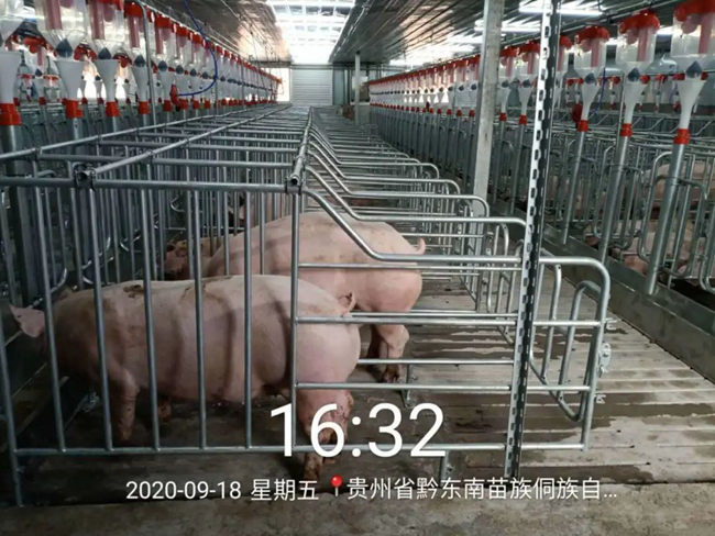 ONE游戏官网-皇马巴塞赞助商