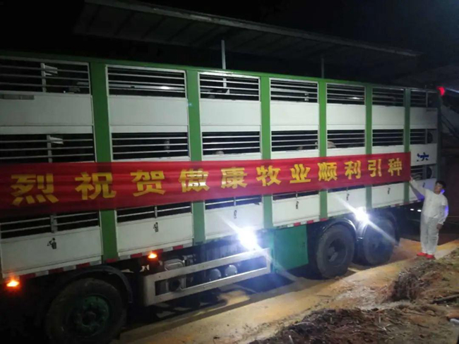 ONE游戏官网-皇马巴塞赞助商