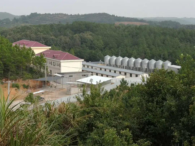 ONE游戏官网-皇马巴塞赞助商