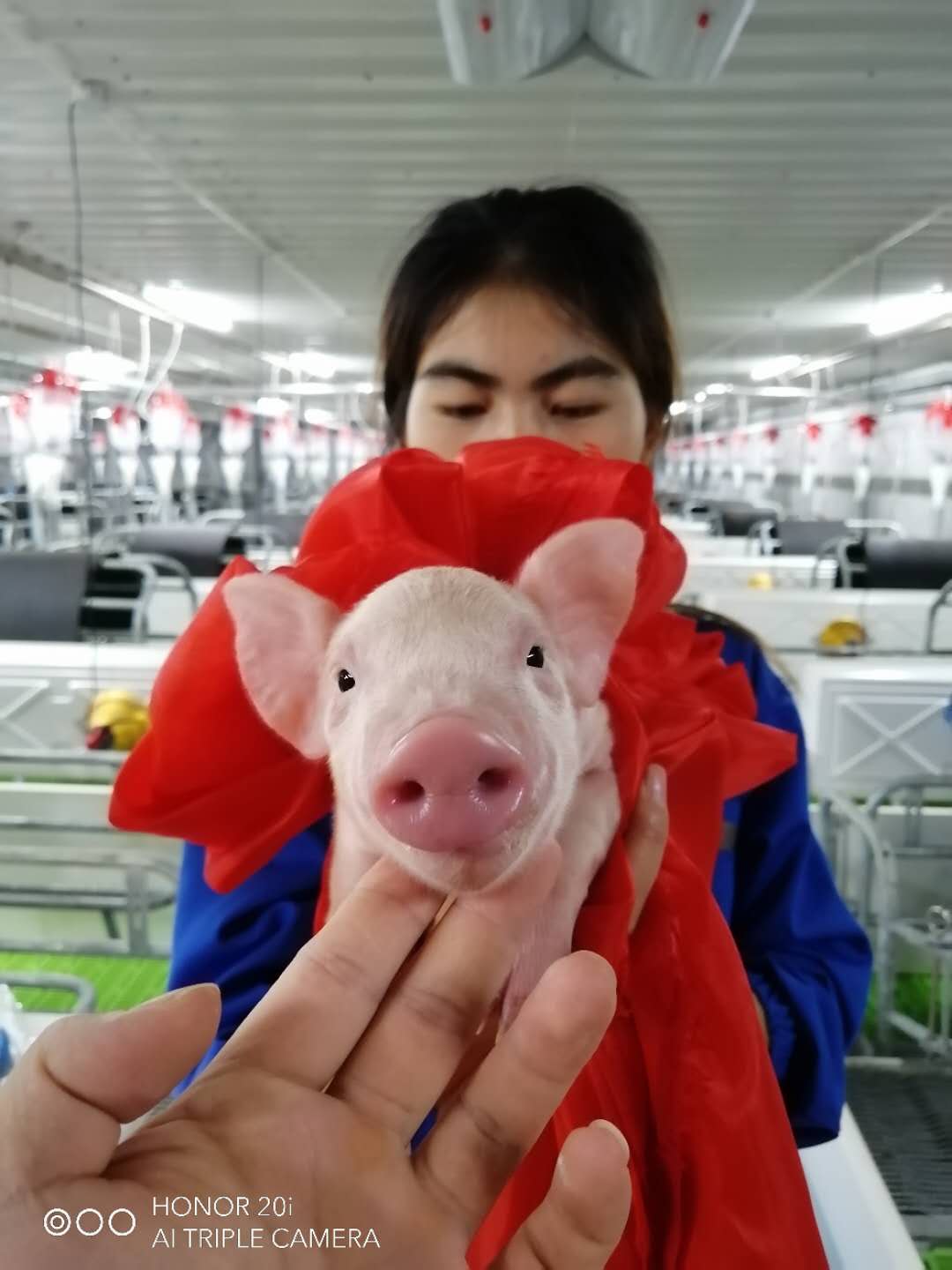 ONE游戏官网-皇马巴塞赞助商
