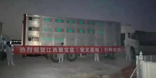 202101310926159173 ONE游戏官网-皇马巴塞赞助商