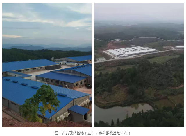 ONE游戏官网-皇马巴塞赞助商
