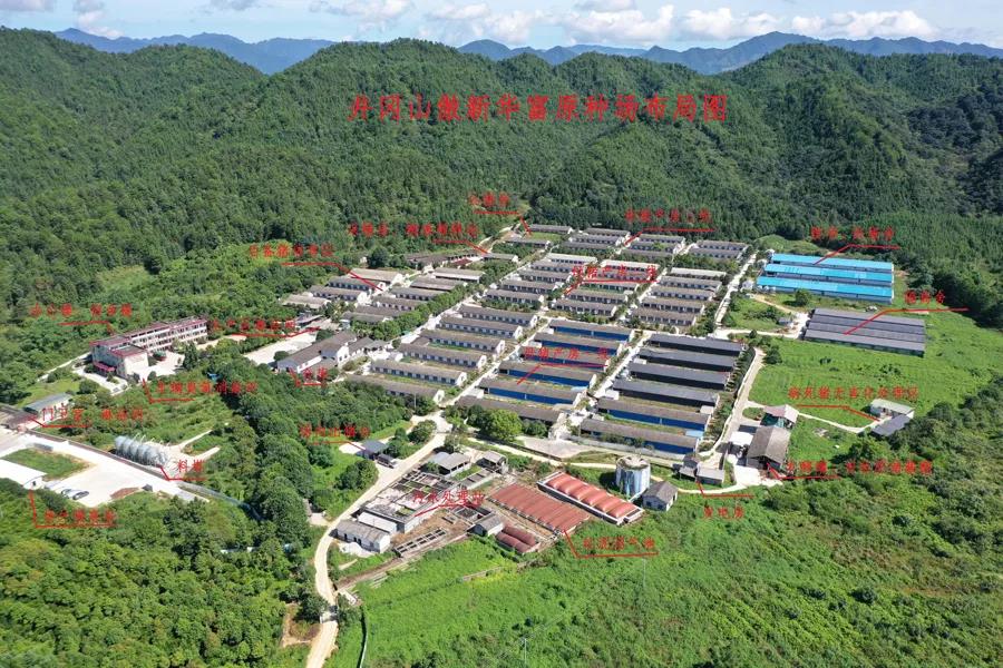 ONE游戏官网-皇马巴塞赞助商