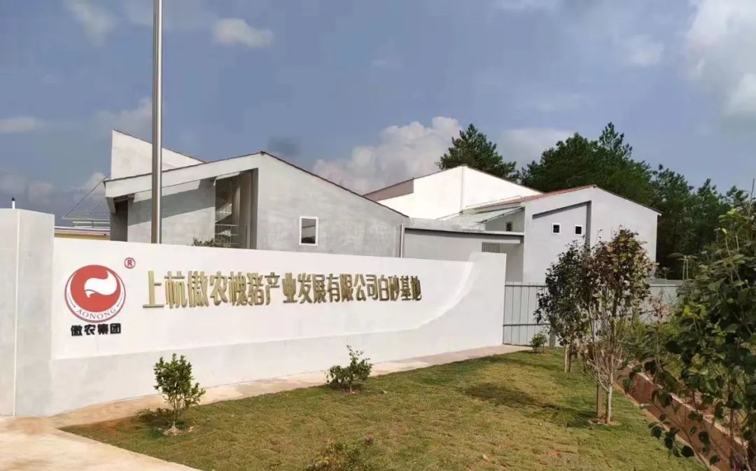ONE游戏官网-皇马巴塞赞助商